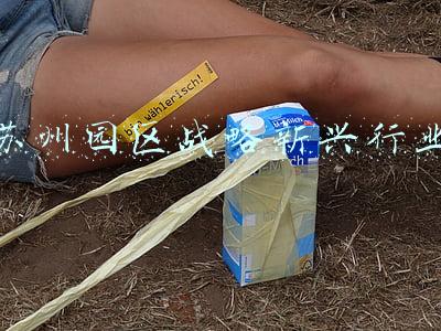苏州园区战略新兴行业
