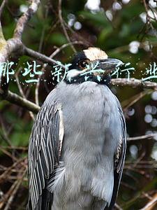 未来哪些新兴行业是趋势