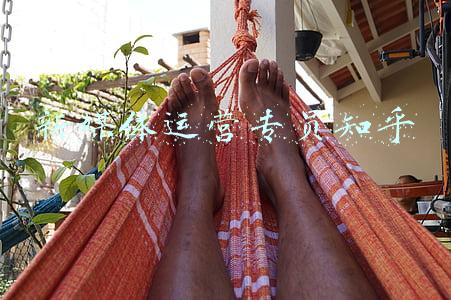 新媒体运营专员知乎