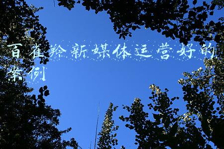 百雀羚营销广告成功的案例(百雀羚营销案例：借势品牌营销引爆流量)
