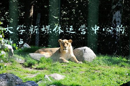大学新媒体课程(今日头条联合中国人民大学共同打造的高校新媒体课程正式开课)