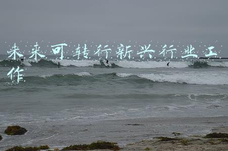 未来可转行新兴行业工作
