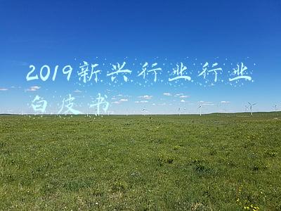 2019新兴行业行业白皮书