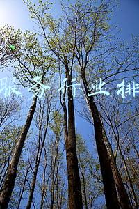 新型服务行业创业项目(社会服务行业深度报告：预见2022，格局重构，韧性成长)
