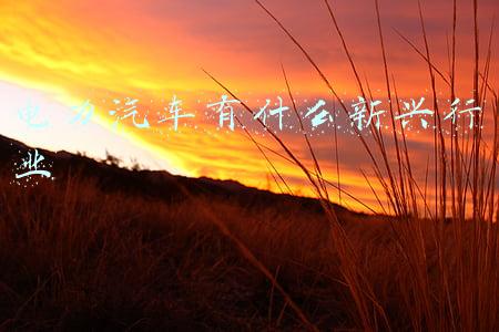 电力汽车有什么新兴行业