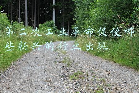第二次工业革命促使哪些新兴的行业出现