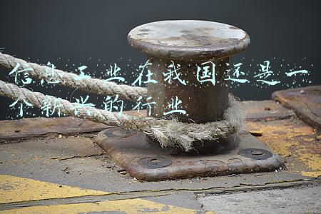 信息工业在我国还是一个新兴的行业