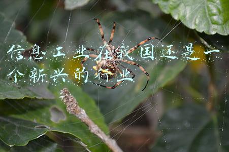 信息工业在我国还是一个新兴的行业