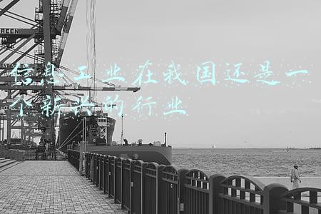 信息工业在我国还是一个新兴的行业