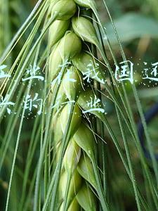信息工业在我国还是一个新兴的行业