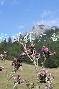 阳江新江传媒老板(海陵税务邀请代表委员聊“税感”话发展)