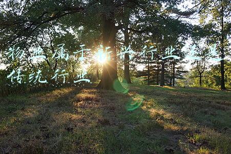 物业属于新兴行业还是传统行业