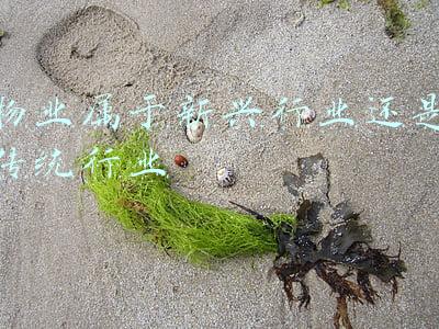 新兴骏景园物业电话(新兴骏景园小区深夜有大型机械施工，街办：楼体沉降紧急处理，杜绝夜间作业)