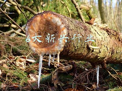 6大高耗能行业清单(湖北建立高耗能行业25个重点领域企业名录)