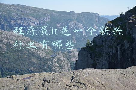 程序员it是一个新兴行业有哪些