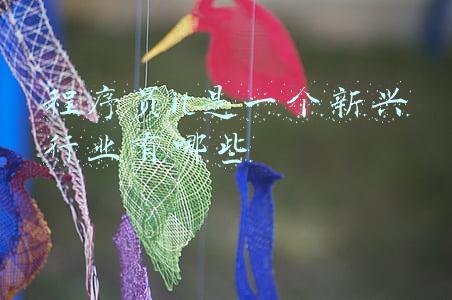 it行业程序员分类(程序员的七大类别，看看你属于哪一类)
