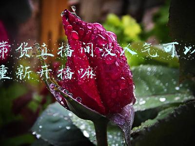 直播带货还会火多久(数据水分大，主播“跑火车”，直播带货还能火多久？)