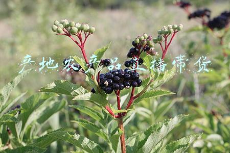 农产品产地冷藏保鲜(山东省农产品产地冷藏保鲜设施，补助指导标准来了)