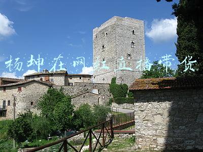杨坤在网红直播带货