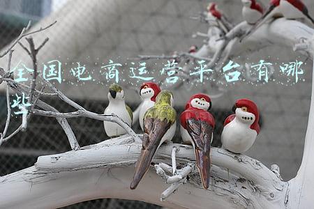 全国电商维权平台(又一电商平台崩盘，近百人奔赴总部维权！幕后操盘手竟是诈骗犯)