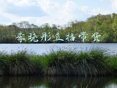 李晓彤直播带货