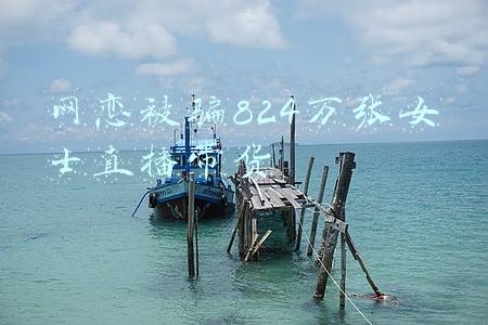 女子网恋被骗二千万(了了一生---宁为鸡头，不做凤尾，从“医”而终)