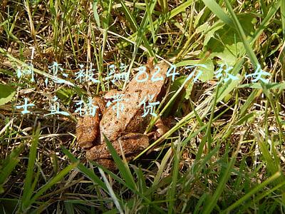 网恋被骗案例(浙江男大学生网恋上海“女神”，短短数月被骗318万……真相太扎心)