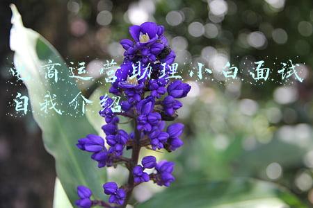 电商运营助理小白面试自我介绍