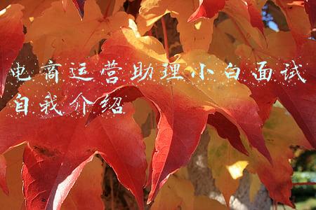 小白面试自我介绍(怎样在面试的时候做一次漂亮的自我介绍？只需注意这3个小技巧！)