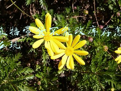 服装库存货(知名服装企业库存积压！警惕大量市场单囤积，恐透支未来市场需求)