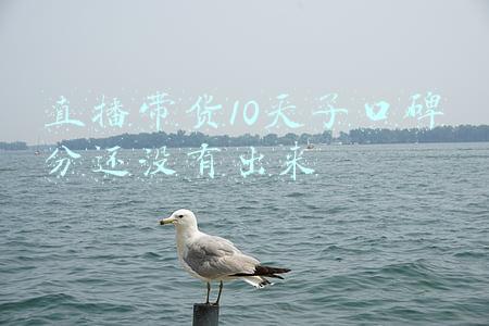 抖音带货口碑怎么提升(「干货」抖音带货口碑分如何提高？保姆级实操指南！建议收藏)