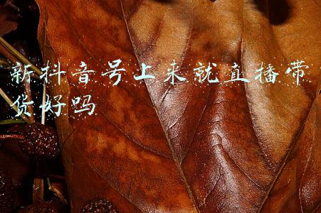 搔货坐上来(小说：穿越成小农女，外婆不把她们当人，母亲愚孝，她恨铁不成刚)