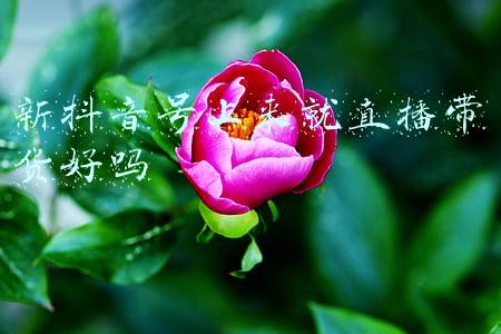 重要关冲的上来(洪江市茅渡乡：张灯结彩迎新年，“一带一路”谱新篇)
