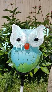 直播间订的货单怎么查(“供港蔬菜”上线“淘菜菜”，45天销量暴增15倍)