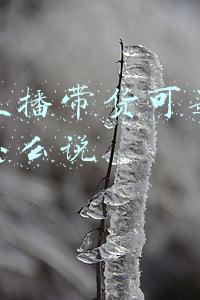 直播带货刚开始应该怎么说(直播带货小吃零食有什么话术？)