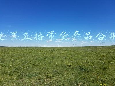 老罗直播带货产品合集