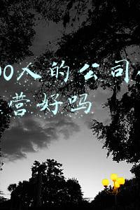 有400人的公司做电商运营好吗