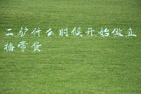 二驴什么时候开始做直播带货