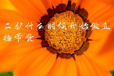 二驴什么时候开始做直播带货