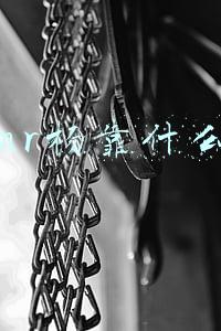 mr yang杨家成(老师也出名！看看这些化学、自然、英语界的“宝藏男孩”们)