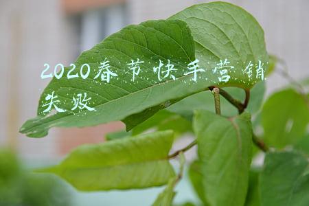 2020春节快手营销失败
