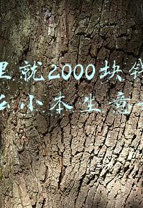 2000块钱能做什么小生意(夫妻揣两千万，不买房做新品牌，一年就火了)