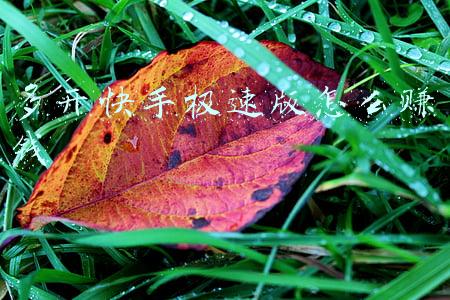 快手多开(手机实现快手双屏直播)