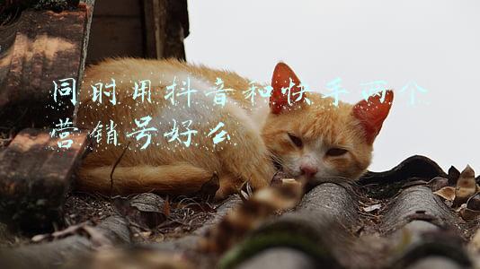 同时用抖音和快手两个营销号好么