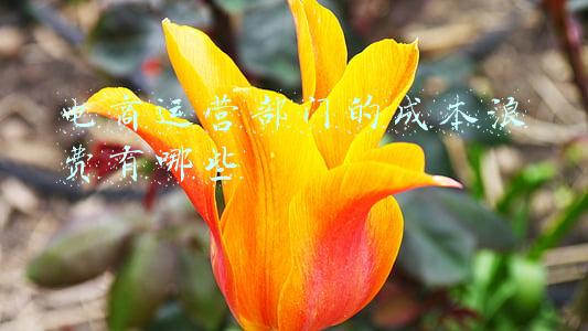 电商运营部门的成本浪费有哪些