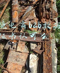 跨境电商b2b数据运营证书认可么