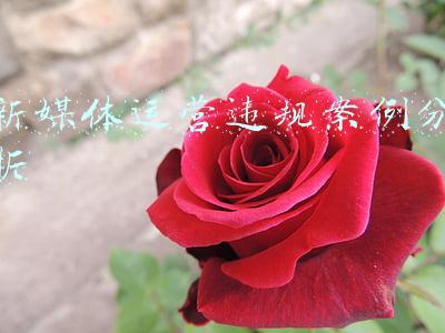 新媒体案例分析(我们分析了媒体融合典型案例入选名单，发现这四个特征)