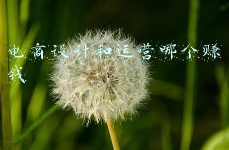 电商设计和运营哪个赚钱