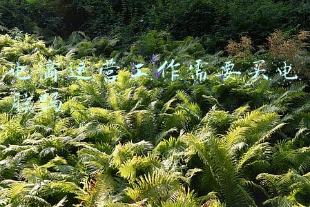 电商运营工作需要买电脑吗