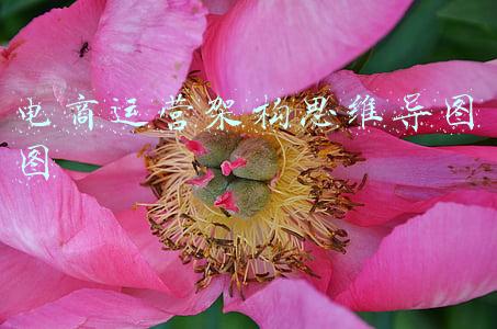 电商运营架构思维导图图